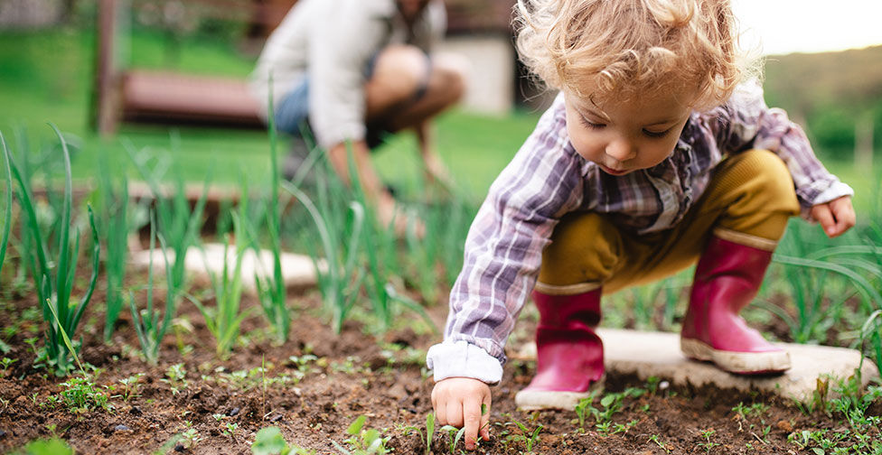 Society A small child crouches in a garden, reaching for a leafy shoot