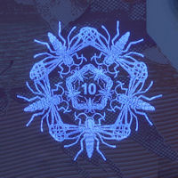 RBS %C2%A310 (2016) invisible fluorescence front detail B