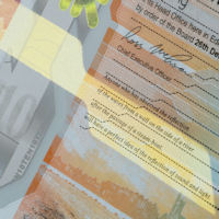 RBS %C2%A310 (2016) iridescent print detail front