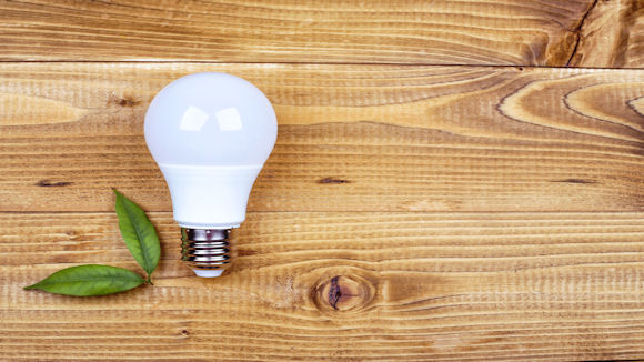 Lightbulb with green leaf