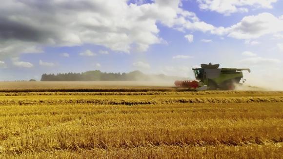Field with tractor